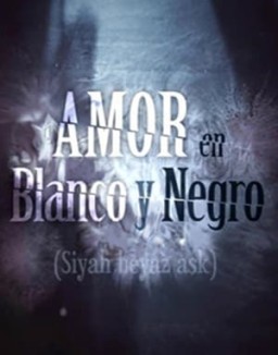 Amor en blanco y negro temporada 1 capitulo 28