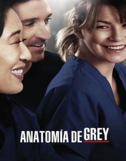 Anatomía de Grey temporada 10 capitulo 2