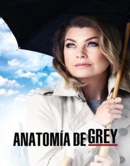 Anatomía de Grey temporada 12 capitulo 3