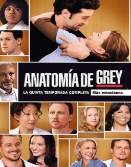 Anatomía de Grey Temporada 5