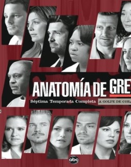 Anatomía de Grey temporada 7 capitulo 10