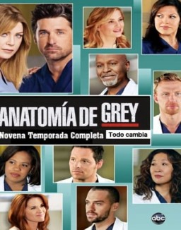 Anatomía de Grey temporada 9 capitulo 13