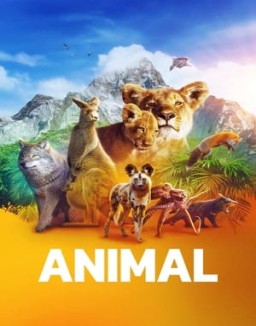 Animal temporada 1 capitulo 3