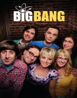 Big Bang temporada 8 capitulo 23