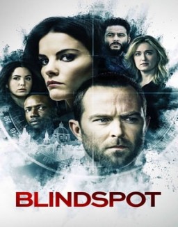 Blindspot temporada 1 capitulo 17