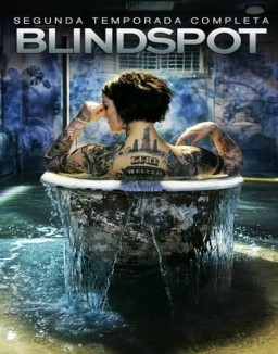 Blindspot saison 2