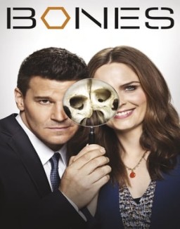 Bones temporada 1 capitulo 14