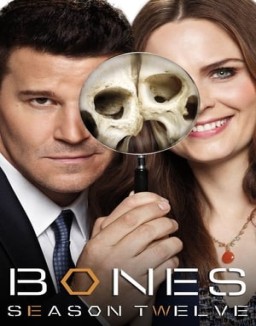 Bones temporada 12 capitulo 11