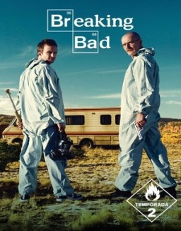 Breaking Bad temporada 2 capitulo 11