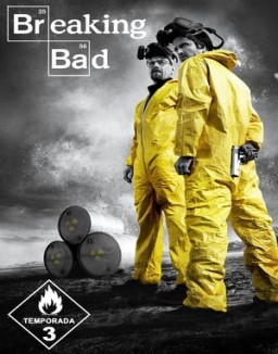 Breaking Bad temporada 3 capitulo 12