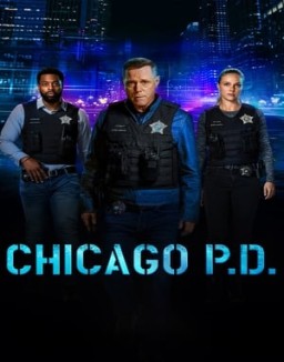 Chicago P.D. temporada 11 capitulo 9