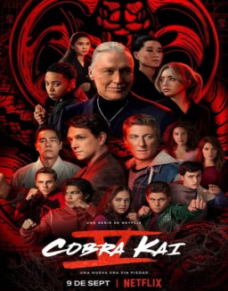 Cobra Kai temporada 1 capitulo 7