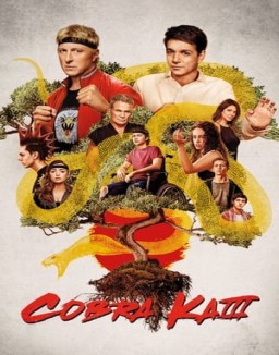 Cobra Kai Temporada 3