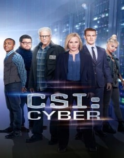 CSI: Cyber temporada 1 capitulo 8