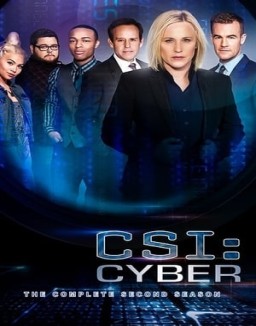 CSI: Cyber temporada 2 capitulo 18