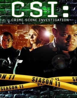 CSI: Las Vegas saison 11