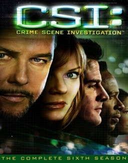 CSI: Las Vegas saison 6