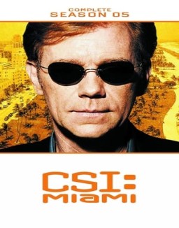 CSI: Miami saison 5