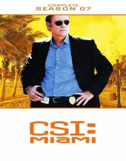 CSI: Miami saison 7