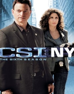 CSI: Nueva York temporada 6 capitulo 13