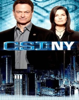 CSI: Nueva York saison 8