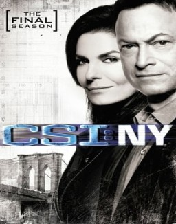 CSI: Nueva York temporada 9 capitulo 6