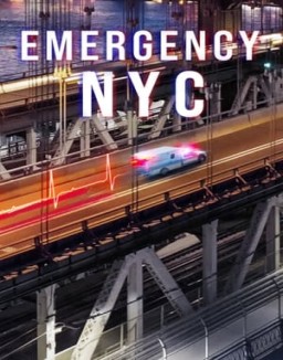 Emergencias: Nueva York temporada 1 capitulo 4