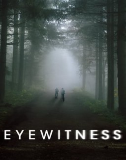 Eyewitness temporada 1 capitulo 7