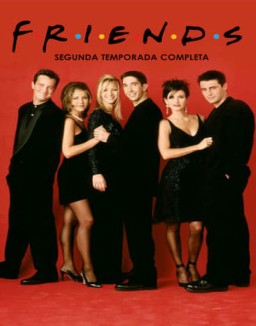 Friends temporada 2 capitulo 24