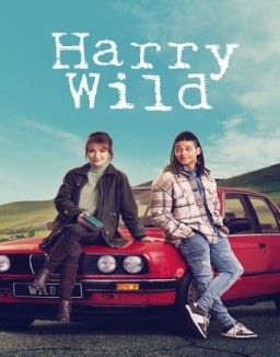 Harry Wild temporada 3 capitulo 4