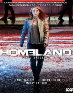 Homeland temporada 6 capitulo 8