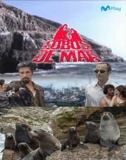 Lobos de mar temporada 1 capitulo 15