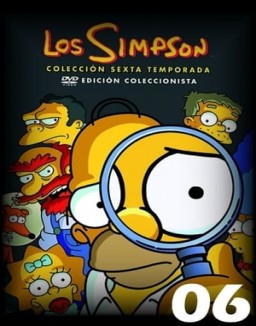 Los Simpson temporada 6 capitulo 8