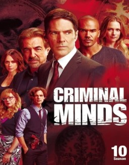 Mentes criminales saison 10