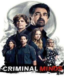 Mentes criminales saison 12