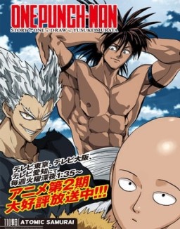 One Punch Man temporada 2 capitulo 11