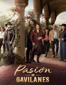 Pasión de gavilanes temporada 1 capitulo 114