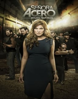 Señora Acero temporada 1 capitulo 66