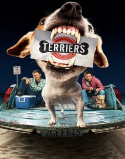 Terriers temporada 1 capitulo 10