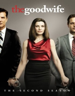 The Good Wife temporada 2 capitulo 5